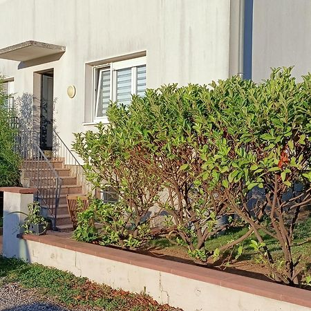 Strasbourg 3 Pieces Avec Jardin Apartment Brumath Ngoại thất bức ảnh