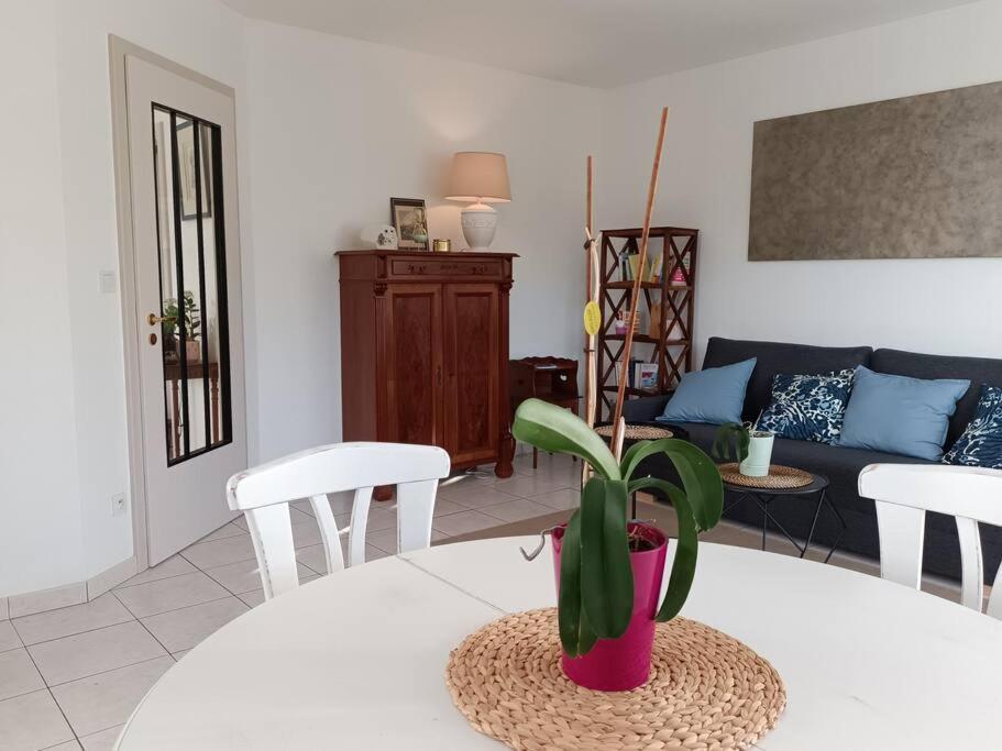 Strasbourg 3 Pieces Avec Jardin Apartment Brumath Ngoại thất bức ảnh