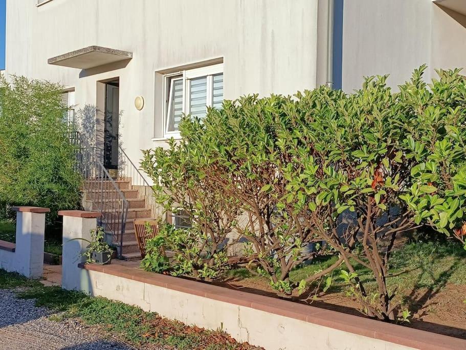 Strasbourg 3 Pieces Avec Jardin Apartment Brumath Ngoại thất bức ảnh